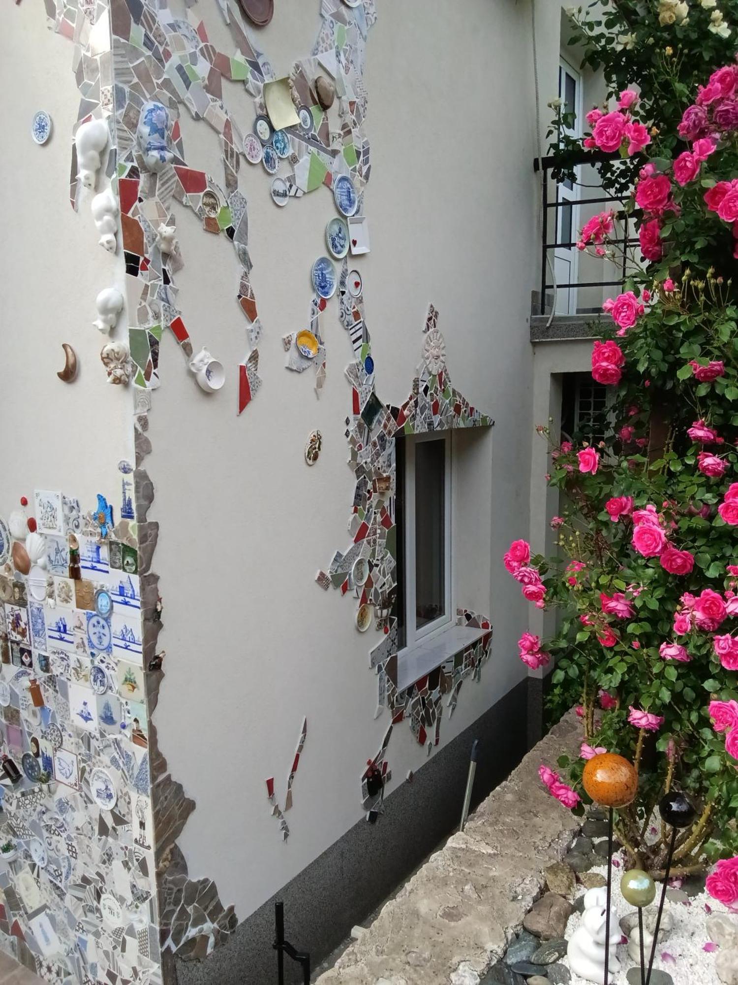 Apartment Cats Donji Milanovac Exterior photo